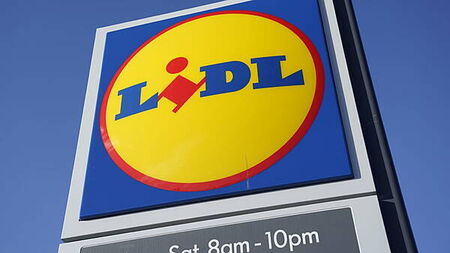Batches of Lidl chicken fillets recalled over presence of Salmonella