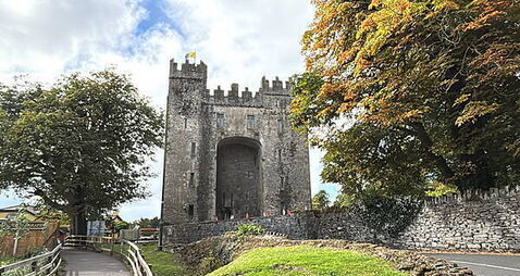 Planning refused for Co Clare homes over impact on Bunratty Castle