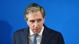 Lyons says Sinn Féin waging ‘co-ordinated attack’ on him over Irish language issues