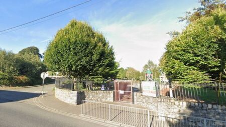 Second child assaulted in Kildare park