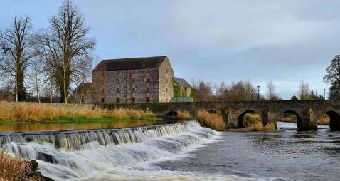 Council should collaborate with tidy towns group for funding works on Laois bridge
