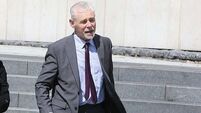 Dublin vet faces fitness-to-practise inquiry after conviction over unlawful euthanasia of dogs