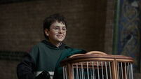 Ginny Weasley role to be recast for second season of new Harry Potter series