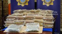 Two men jailed after €14m Laois drug seizure 