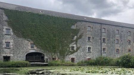 Old mill wheel in Laois gets heritage grant