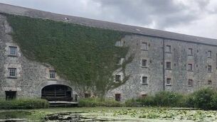 <p>The Newtown Mill Waterwheel project has received a restoration grant. File image</p>
