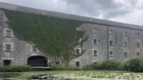 Old mill wheel in Laois gets heritage grant