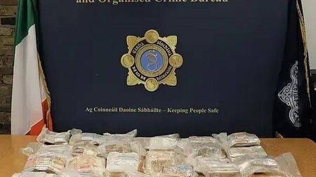 Laois business owner jailed after €1.2m cash haul intercepted on M7