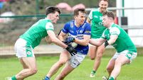 Laois face tricky London test in Tailteann Cup 