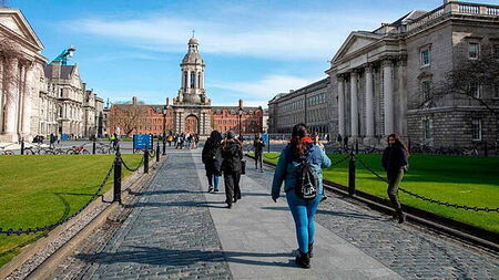 Pigeon in a costume cupboard: Odd wildlife callouts at Trinity College