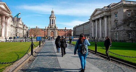 Pigeon in a costume cupboard: Odd wildlife callouts at Trinity College