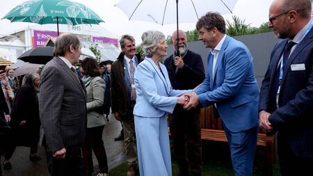 Laois native supplied flowers to gold medal-winning garden at Chelsea Flower Show 2026