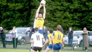 <p>St Joseph's Brian Daly rises highest to win possession of this ball in their ACFL Division 1 win over Arles Killeen on Thursday night Photo: Denis Byrne</p> <p>St Joseph's Brian Daly rises highest to win possession of this ball in their ACFL Division 1 win over Arles Killeen on Thursday night Photo: Denis Byrne</p>
