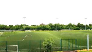 <p>One of the pitches at the Moneyballtyrell site, which is adjacent to the Portlaoise Leisure complex</p> <p>One of the pitches at the Moneyballtyrell site, which is adjacent to the Portlaoise Leisure complex</p>
