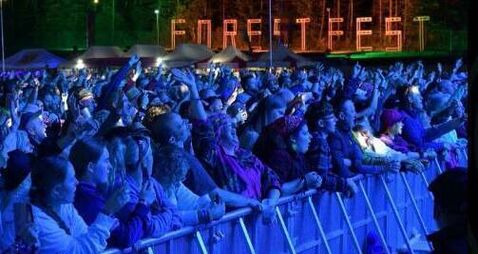 Forest Fest announces exciting trad acts for 2026 festival