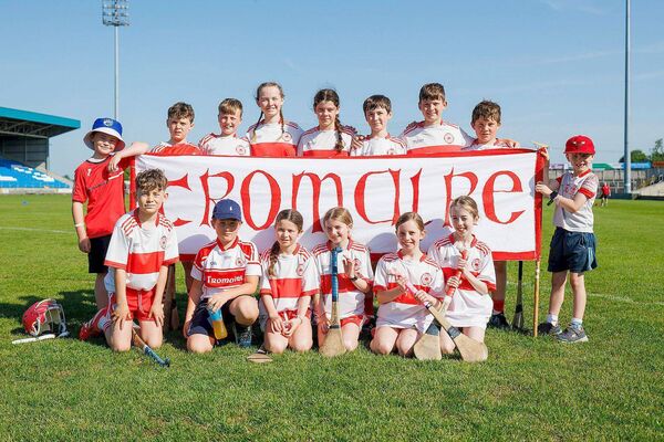 Gaelscoil Thromaire - Roinn 5 Hurling Championship winners Photo: Alf Harvey Gaelscoil Thromaire - Roinn 5 Hurling Championship winners Photo: Alf Harvey
