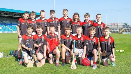 Rowney and Wynne on fire as Clonaslee win Roinn 5 hurling title