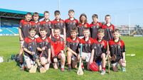 Rowney and Wynne on fire as Clonaslee win Roinn 5 hurling title