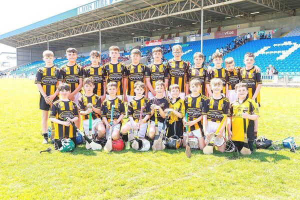 Camross - Roinn 2 Hurling Shield finalists Photo: Alf Harvey Camross - Roinn 2 Hurling Shield finalists Photo: Alf Harvey