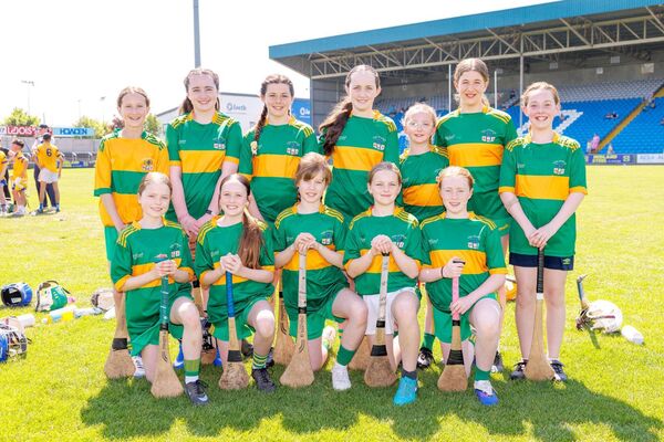 Killadooley NS - Roinn 3 Camogie Shield finalists Photo: Alf Harvey Killadooley NS - Roinn 3 Camogie Shield finalists Photo: Alf Harvey