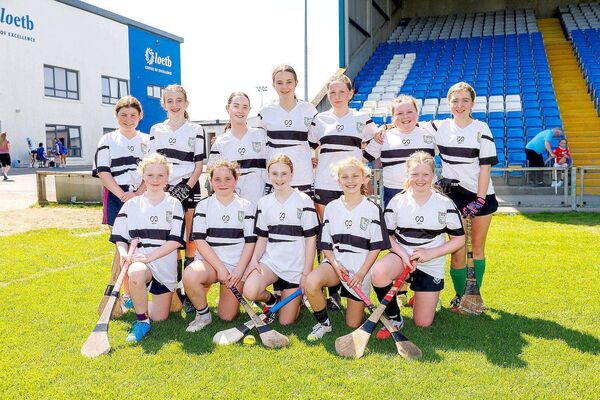 St Abban's Killeen - Roinn 5 Camogie Championship finalists	Photo: Alf Harvey