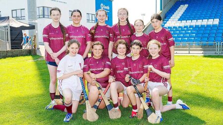 Four goal Kearney to the fore as Ballinakill NS crowned champions