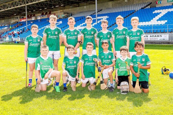 Clough NS - Roinn 3 Hurling Shield finalists 	 Photo Alf Harvey