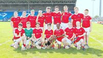 Mountrath crowned champions after dominant win over Clough 