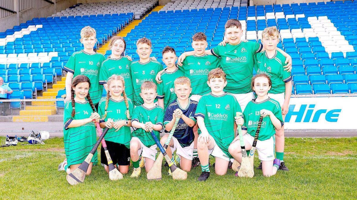 Goals prove the difference as Killanure NS crowned Roinn 6 champions