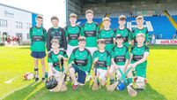 24-goal classic sees Ballyfin snatch dramatic one-point win 