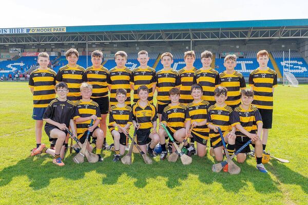 The Heath NS - Roinn 4 Hurling Shield finalists Photo: Alf Harvey The Heath NS - Roinn 4 Hurling Shield finalists Photo: Alf Harvey