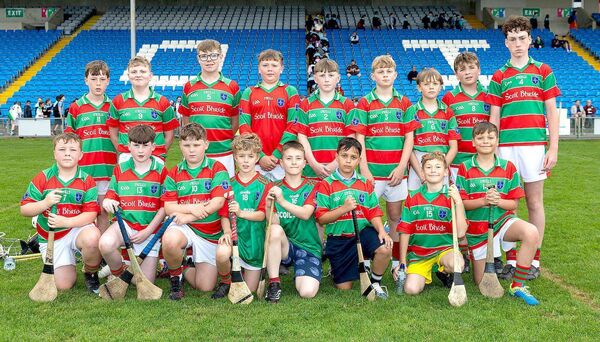 Scoil Bhríde Rathdowney - Roinn 1 Hurling Shield finalists Photo: Alf Harvey Scoil Bhríde Rathdowney - Roinn 1 Hurling Shield finalists Photo: Alf Harvey