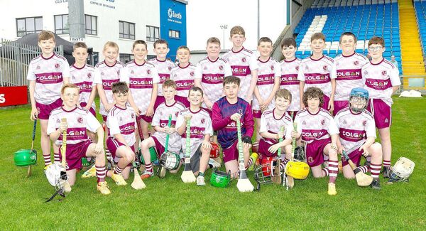 St. Patrick's BNS Portarlington - Roinn 7 Hurling Championship finalists 	Photo: Alf Harvey