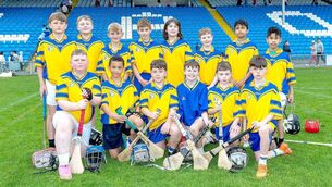 <p>Scoil Mhuire Abbeyleix - Roinn 7 Hurling Championship winners Photo: Alf Harvey</p> <p>Scoil Mhuire Abbeyleix - Roinn 7 Hurling Championship winners Photo: Alf Harvey</p>