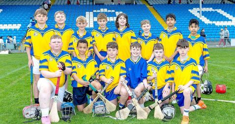 Abbeyleix storm to Roinn 7 championship honours 