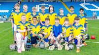 Abbeyleix storm to Roinn 7 championship honours 