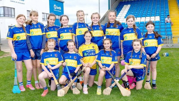 Scoil Naomh Eoin Killenard - Roinn 2 Camogie Shield finalists Photo: Alf Harvey