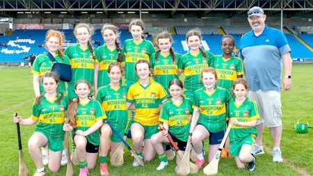 Conway and Conroy lead Ratheniska to Roinn 2 Shield glory