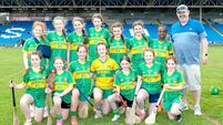 Conway and Conroy lead Ratheniska to Roinn 2 Shield glory 