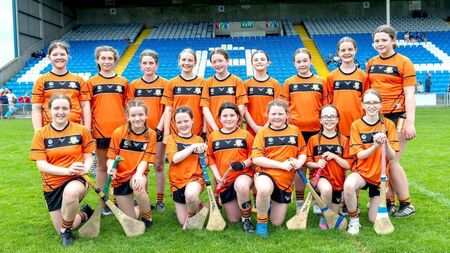 Dalton and Kingston fire Paddock to Roinn 3 Camogie title