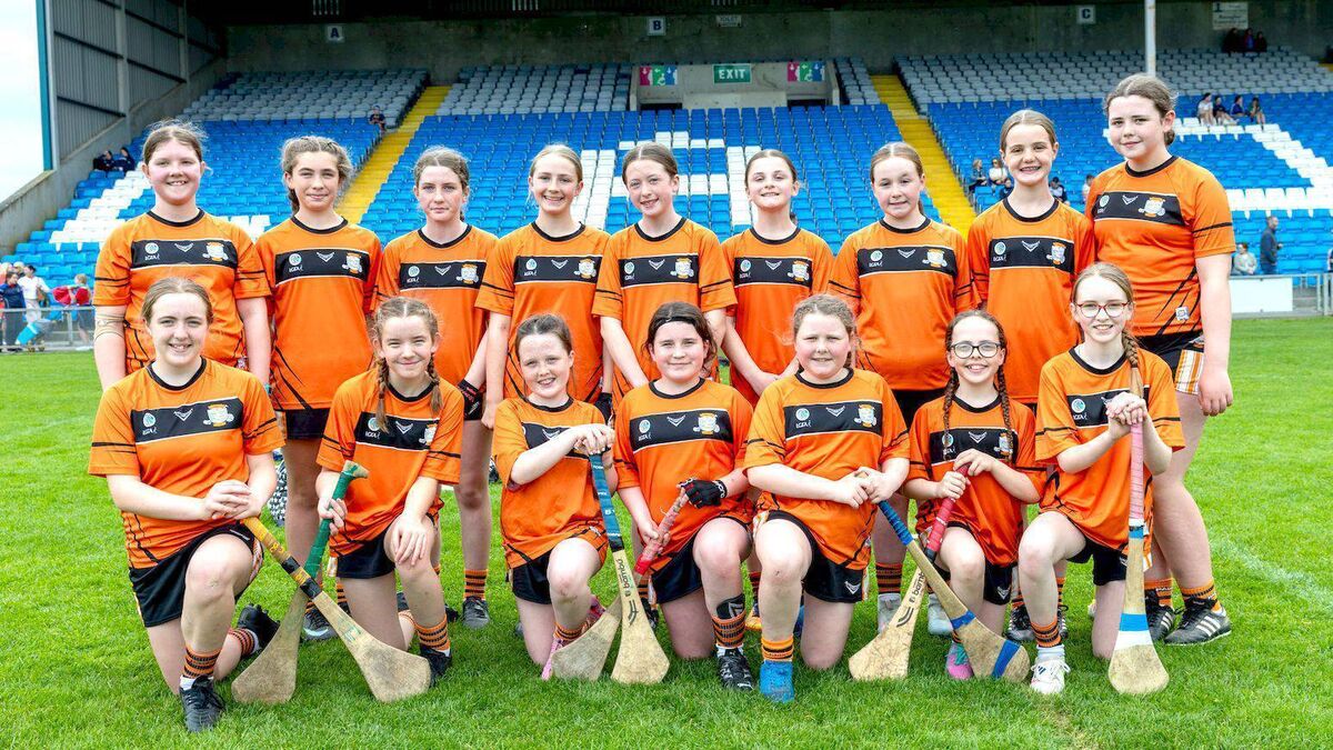 Dalton and Kingston fire Paddock to Roinn 3 Camogie title