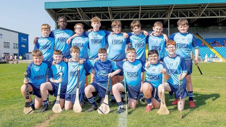Scoil Bhríde Portlaoise win by just two points in 13-goal thriller