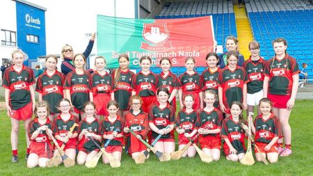 Phelan stars as Cullohill crowned Division 4 Camogie champions