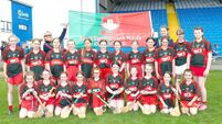 Phelan stars as Cullohill crowned Division 4 Camogie champions