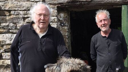 Laois artist Dain to launch painting exhibition in Mountrath 