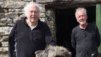 Laois artist Dain to launch painting exhibition in Mountrath 