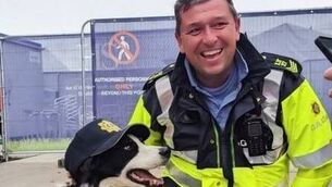<p>Sgt Graham Kavanagh and colleague on duty at the National Ploughing Championships. Photo: An Garda Siochána Laois/Offaly</p>