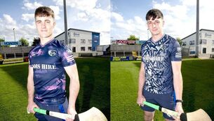 <p>Laois hurlers David Dooley and Mark Dowling 	 Photo: Denis Byrne</p>