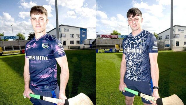 <p>Laois hurlers David Dooley and Mark Dowling 	 Photo: Denis Byrne</p>