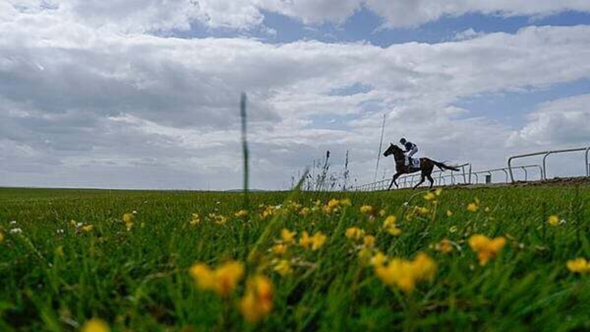Two caravans parked near the Curragh Racecourse attracting others, court hears